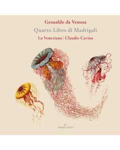 Carlo Gesualdo von Venosa (1566-1613) - Madrigali a cinque voci Libro IV CD