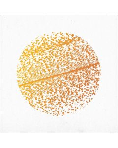 The Gathering - Beautiful Distortion CD