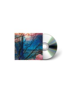 Idlewild - Idlewild CD