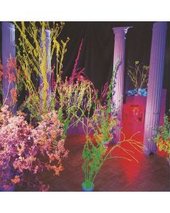 Hüsker Dü - Warehouse: Songs And Stories CD