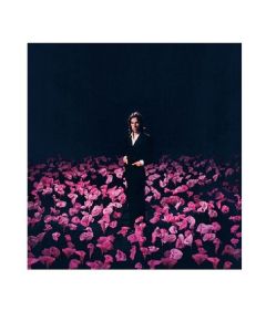 Cosmic Crooner - Perks A Being A Hypocrite CD