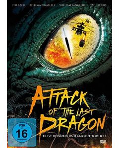 Attack of the Last Dragon 1 DVD