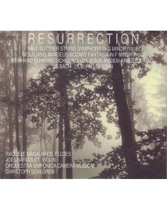 Paul Büttner (1870-1943) - Streichquartett g-moll (arr. für Streichorchester) CD