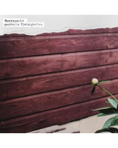 Buntspecht - Großteils Kleinigkeiten CD