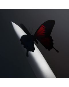 Post Malone - Twelve Carat Toothache 2 LPs