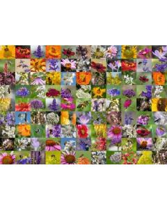 99 Bienen - Puzzle 1000 Teile