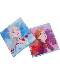 Die Eiskönigin - Kisten für Kinder zur Aufbewahrung von Spielzeug 