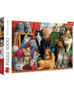 Katzen - Puzzle 1000 Teile