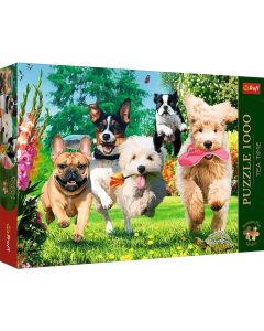 Hunde - Puzzle Premium Plus 1000 Teile