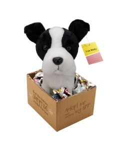 Micky - adopt me Plüsch Tier Hund