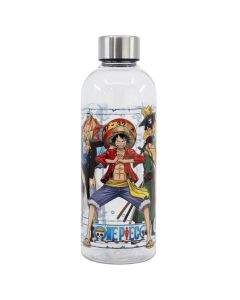 One Piece - Wasserflasche 850 ml