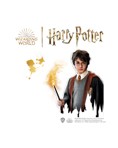 SES - Harry Potter - Bügelperlenset Figuren