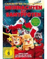 Weihnachten auf Samtpfoten inkl. Weihnachtssocke1 DVD