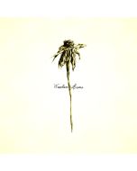 Patrick Watson - Wooden Arms CD
