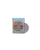 Nick Mason's Saucerful Of Secrets - Live At The Roundhouse BR