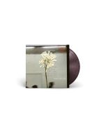 Daughter - Stereo Mind Game (Limited Edition) (Eco Colored Vinyl) LP