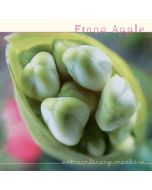 Fiona Apple - Extraordinary Machine LP
