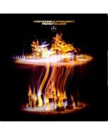 Irreversible Entanglements - Protect Your Light CD