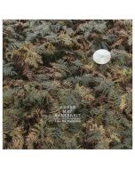 AnnenMayKantereit - Alles nix Konkretes (180g) LP