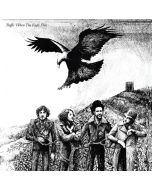 Traffic - When The Eagle Flies (remastered) (180g) LP