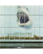 Black Mountain - Wilderness Heart LP