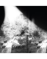 Godspeed You! Black Emperor - Asunder, Sweet And Other Distress (180g) LP