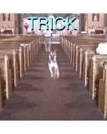 Alex G - Trick LP