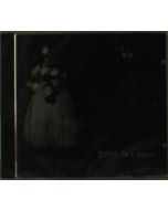 The Ex - Blueprints For A Blackout CD