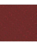 The Black Angels - Wilderness Of Mirrors CD