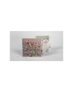 Sufjan Stevens - Javelin CD