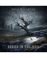 Dom Martin - Buried in the Hail LP