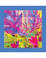 The Reds, Pinks & Purples - The Past Is A Garden I Never Fed (Limited Edition) (Sky Blue Vinyl) LP