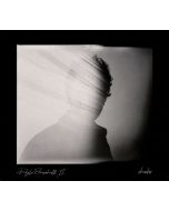 Doyle Bramhall II - Shades CD