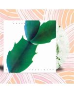 Hiroshi Yoshimura - Green (remastered) (Colored Vinyl) LP