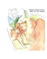 Bonnie 'Prince' Billy - Wolf Of The Cosmos CD