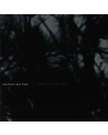 Michael Jon Fink • I hear it in the Rain CD