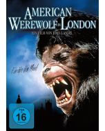 American Werewolf in London DVD