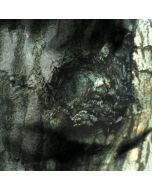 Yann Tiersen - La Valse Des Monstres CD