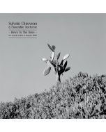 Sylvain Chauveau - Down To The Bone (An Acoustic Tribute To Depeche Mode) LP