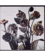 Heinz Sauer - Metal Blossoms CD