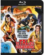 Im Tal des Verderbens (Blu-ray) BR