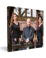 Max Reger (1873-1916) - Streichtrios opp.77b & 141b CD