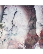 Multicast Dynamics - Outer Envelopes (180g) LP