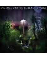 Emil Brandqvist - Entering The Woods (180g) LP