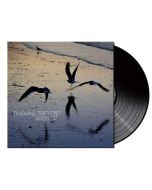Tingvall Trio - Birds (180g) (Black Vinyl) LP