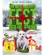 Ein Weihnachtsfest der Hoffnung DVD