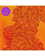 Nubiyan Twist - Find Your Flame CD