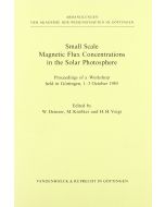 Small Scale Magnetic Flux Concentrations in the Solar Photosphere