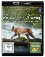 Zurück zum Urwald - Nationalpark Kalkalpen (Ultra HD Blu-ray) UHD