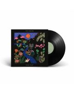 José González - Local Valley LP